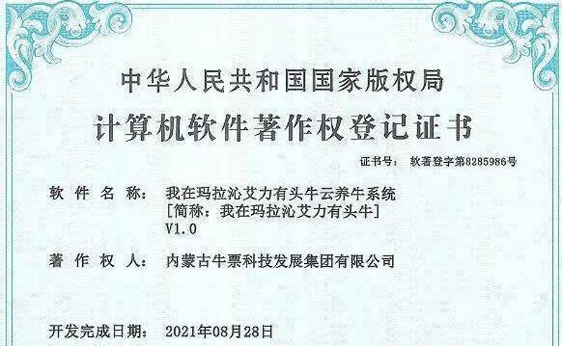 内蒙古软件开发